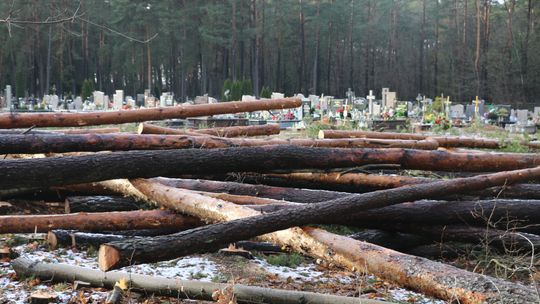 Pod koniec ubiegłego roku przy cmentarzu wycinano kolejne drzewa.