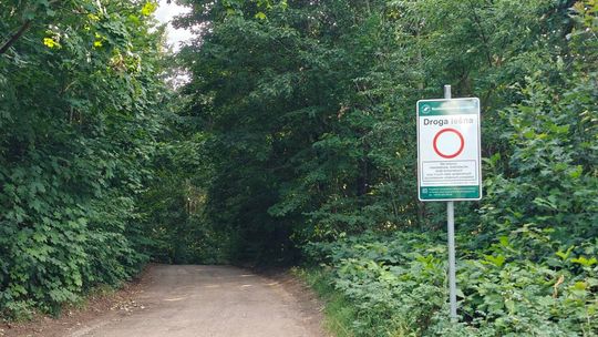 Dojazd nad jezioro Białe utrudniony. Droga do plaży Dąbek zamknięta dla większości kierowców