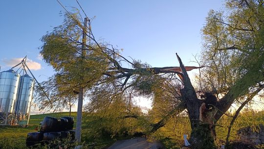 Dziesiątki interwencji strażaków w powiecie augustowskim