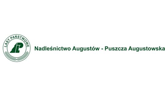 Nadleśnictwo Augustów sprzedaje Toyotę Hilux