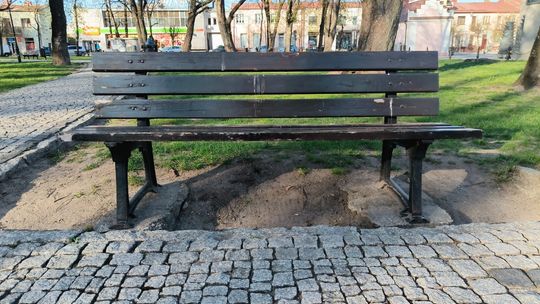 Radny: „Augustów jest miastem obsranym” (cytat). Samorządowiec o znanym problemie