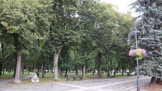 Rynek Zygmunta Augusta traci dawny blask?