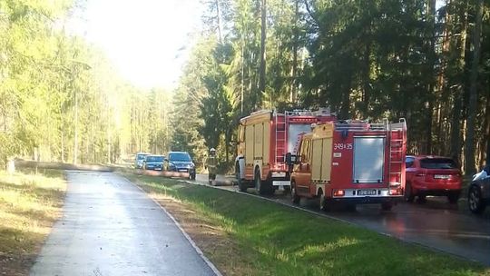 Strażacy usuwają skutki nawałnicy