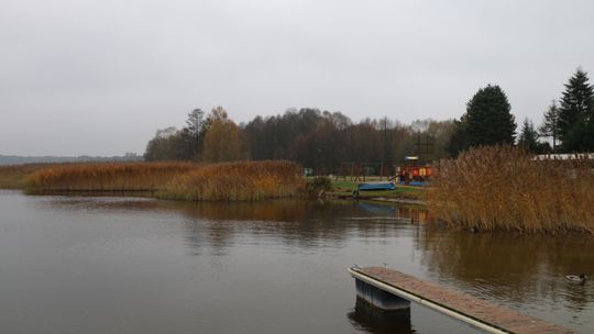 Temat trzcinowiska nad jeziorem Necko powraca jak bumerang.