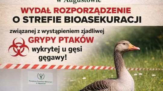 Wykryto wysoce zjadliwą grypę ptaków w powiecie augustowskim