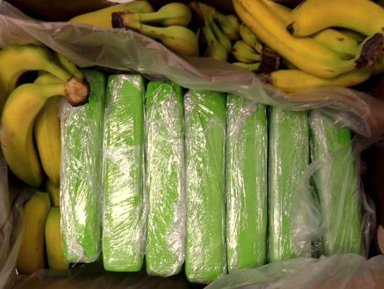 160 kg kokainy w bananach. Narkotyki trafiły do polskich sklepów