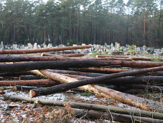 Pod koniec ubiegłego roku przy cmentarzu wycinano kolejne drzewa.