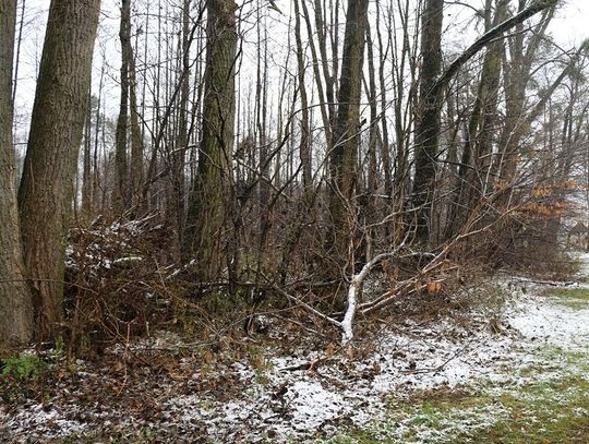 Burmistrz nie słucha mieszkańców PREMIUM 