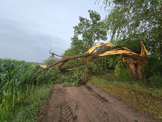 Burza spowodowała liczne straty w powiecie augustowskim