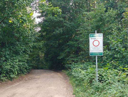 Dojazd nad jezioro Białe utrudniony. Droga do plaży Dąbek zamknięta dla większości kierowców