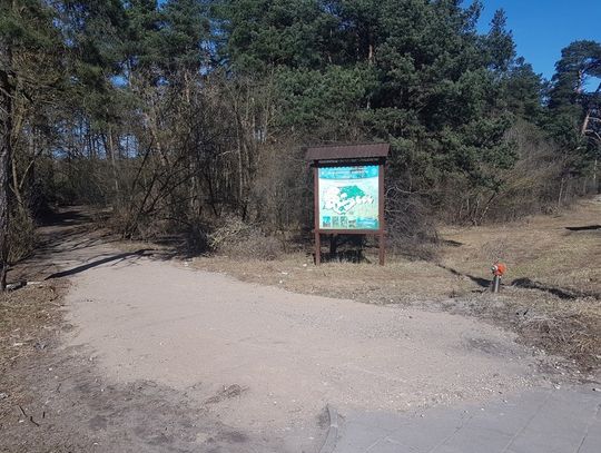 Duży sukces redakcji i radnego