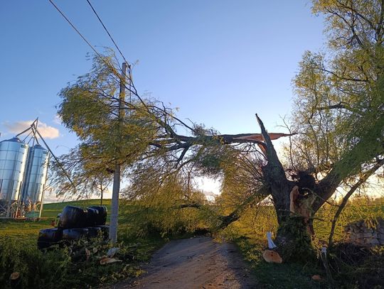 Dziesiątki interwencji strażaków w powiecie augustowskim