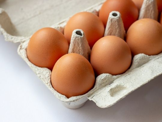 GIS ostrzega: popularne jajka z salmonellą