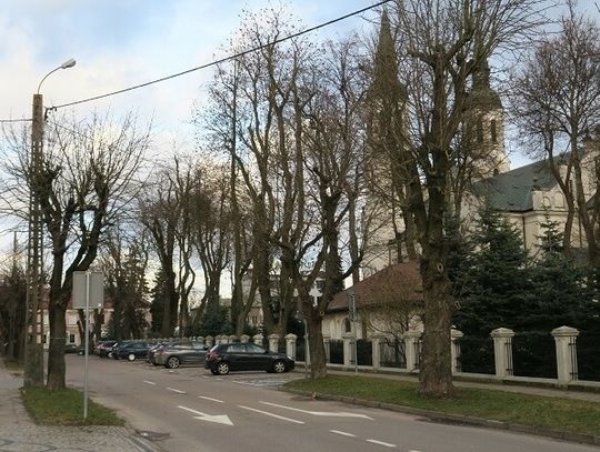 Historii o kasztanowcach ciąg dalszy