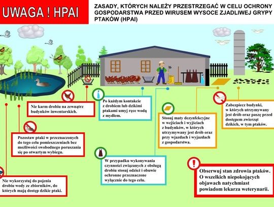   Hodowcy ptactwa powinni być czujni 