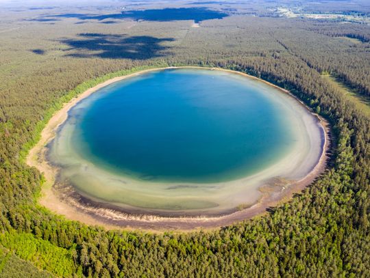 Jezioro Płaskie w Puszczy Augustowskiej nominowane do tytułu Cuda Polski 2024 przez National Geographic
