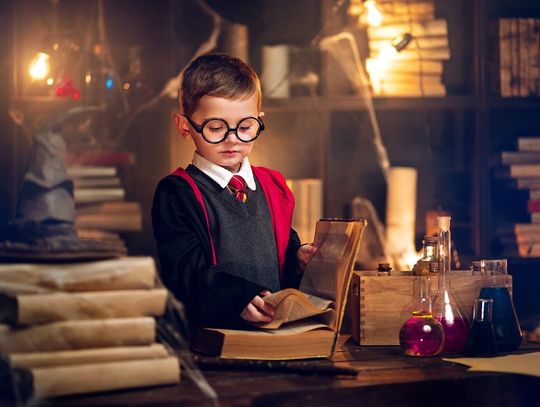 LEGO Harry Potter - prezent na Dzień Chłopaka dla fanów serii