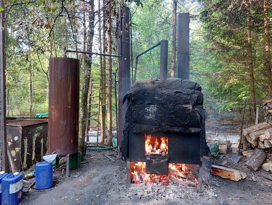 Leśna bimbrownia zlikwidowana. KAS przejęła ponad 700 l nielegalnego alkoholu