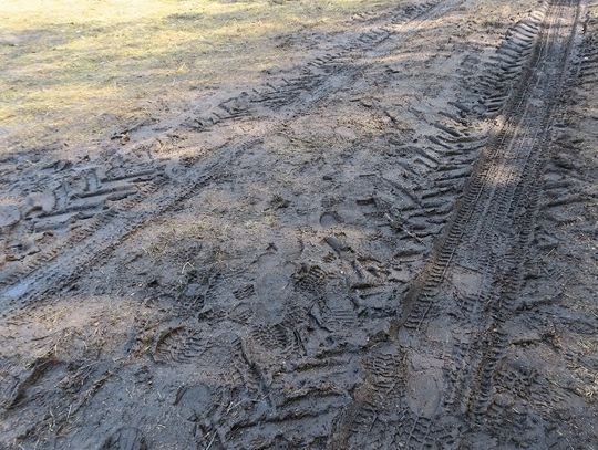 Leśne drogi nie dla samochodów 