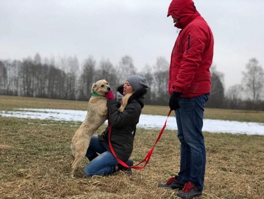 Miarą człowieczeństwa jest stosunek do zwierząt