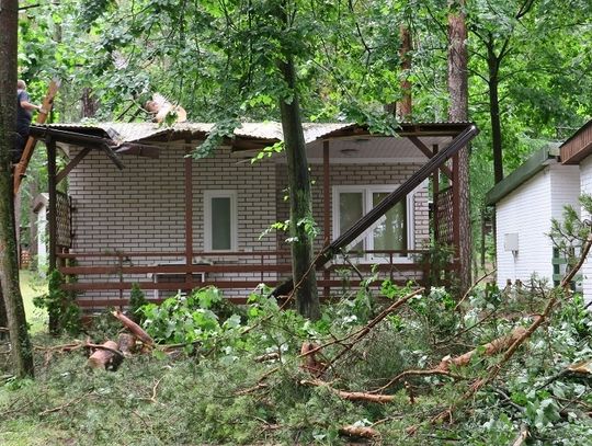 Na Wczasowej drzewo spadło na domek (foto)