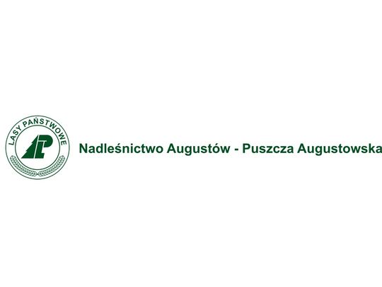 Nadleśnictwo Augustów sprzedaje Toyotę Hilux