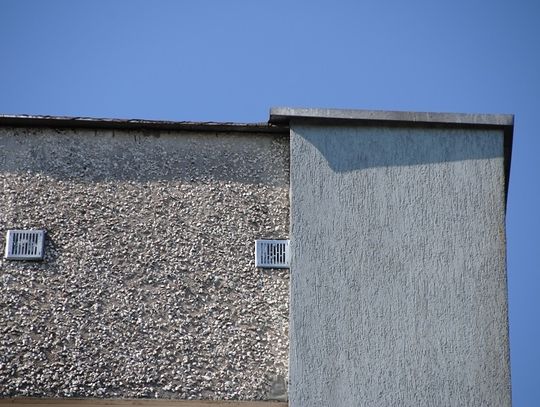 Niedawno obchodzono tydzień jerzyka