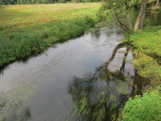 Rzeka Rospuda w powiecie augustowskim