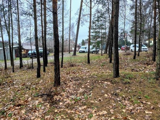 Park tylko z nazwy (foto i video)