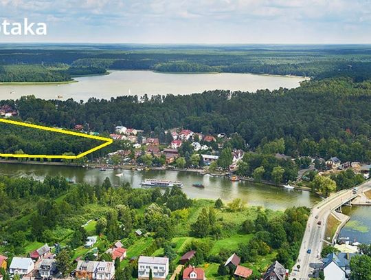 Petycja w sprawie zieleni 