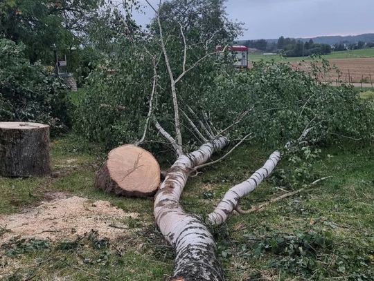 Pijany traktorzysta ciągnął na lince drzewo i uszkodził hydrant (wideo)