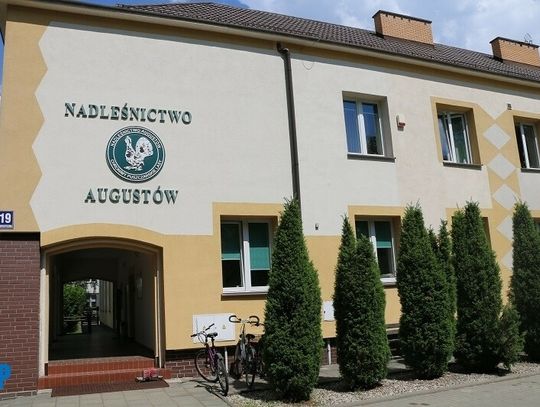 Przekonaj się co dzieję się w Puszczy Augustowskiej 