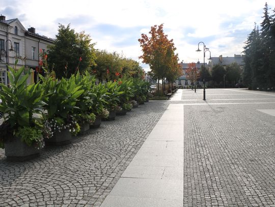 Na zdjęciu: Rynek Zygmunta Augusta.