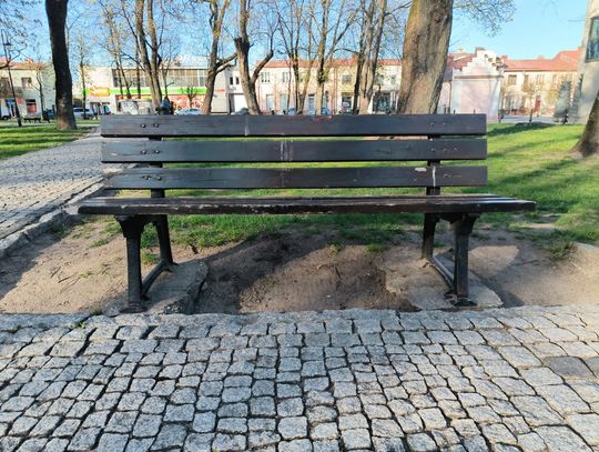 Zdjęcie ilustracyjne: Ławka w augustowskim parku miejskim w ostatnich dniach.