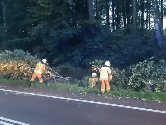 Silny wiatr szaleje nad powiatem augustowskim: strażacy w akcji