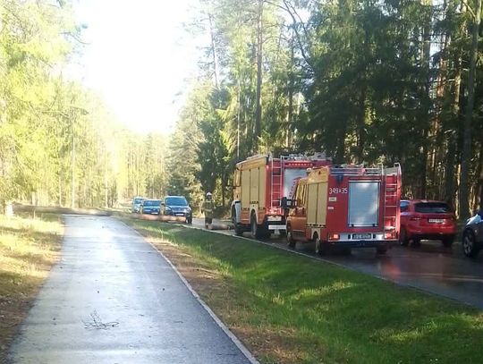 Strażacy usuwają skutki nawałnicy