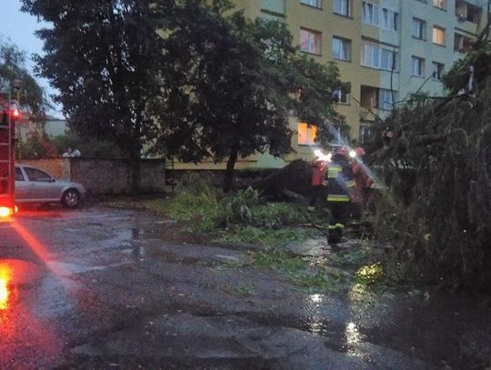 Strażacy usuwają skutki wichury 