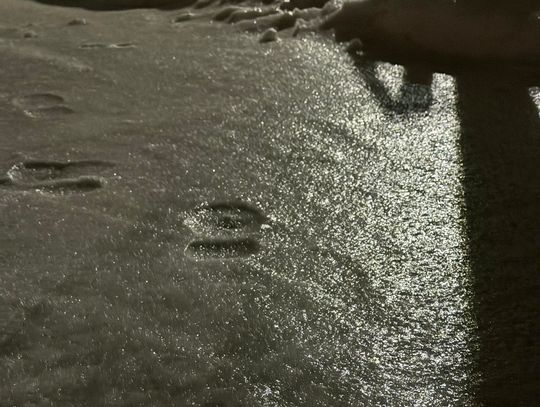 Uwaga na gołoledź. Marznące opady paraliżują drogi i chodniki