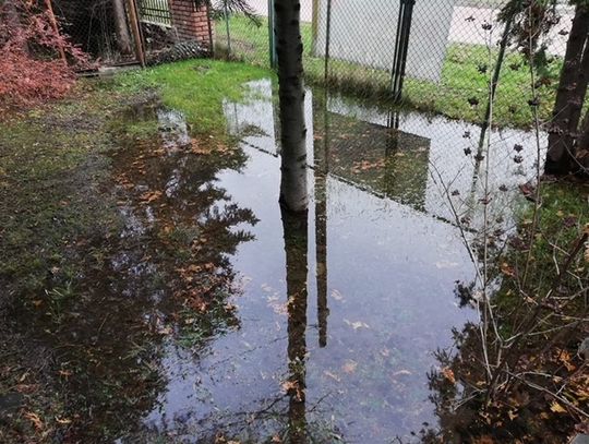 Walczą z wodą na posesji 