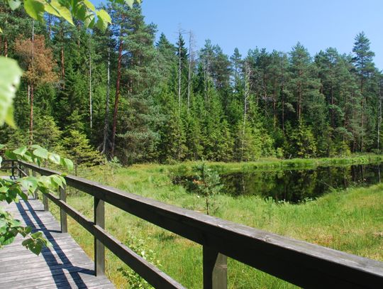 Wigierski Park Narodowy – jeden z największych parków narodowych w Polsce