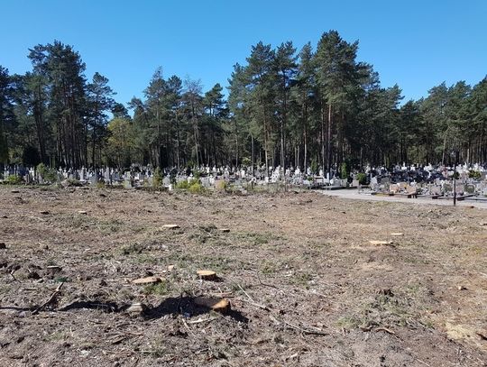 Wycinka z wyższej konieczności