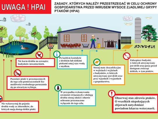 Zagrożenie dla drobiu: apel Powiatowego Lekarza Weterynarii o przestrzeganie zasad bioasekuracji