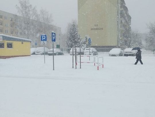 Zawieje i mróz 