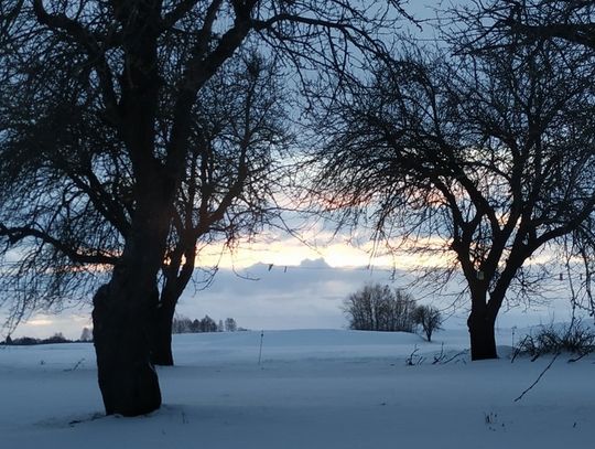 Zima w obiektywie młodych fotografów 
