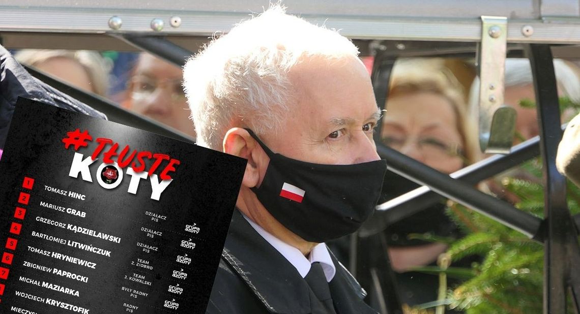 357 "tłustych kotów" PiS. Ludowcy pokazują listę nazwisk