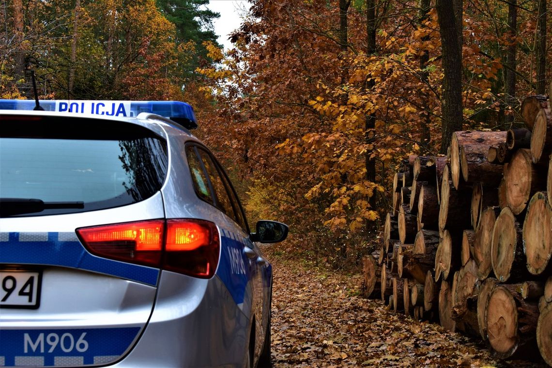 62-latka zgubiła się podczas grzybobrania – policjanci apelują o zachowanie środków ostrożności w lesie