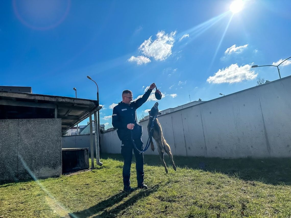 Adrian Ziarko ponownie w gronie nominowanych