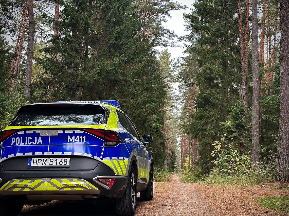 Bezpieczeństwo podczas grzybobrania: jak cieszyć się naturą, nie ryzykując zagubienia w lesie