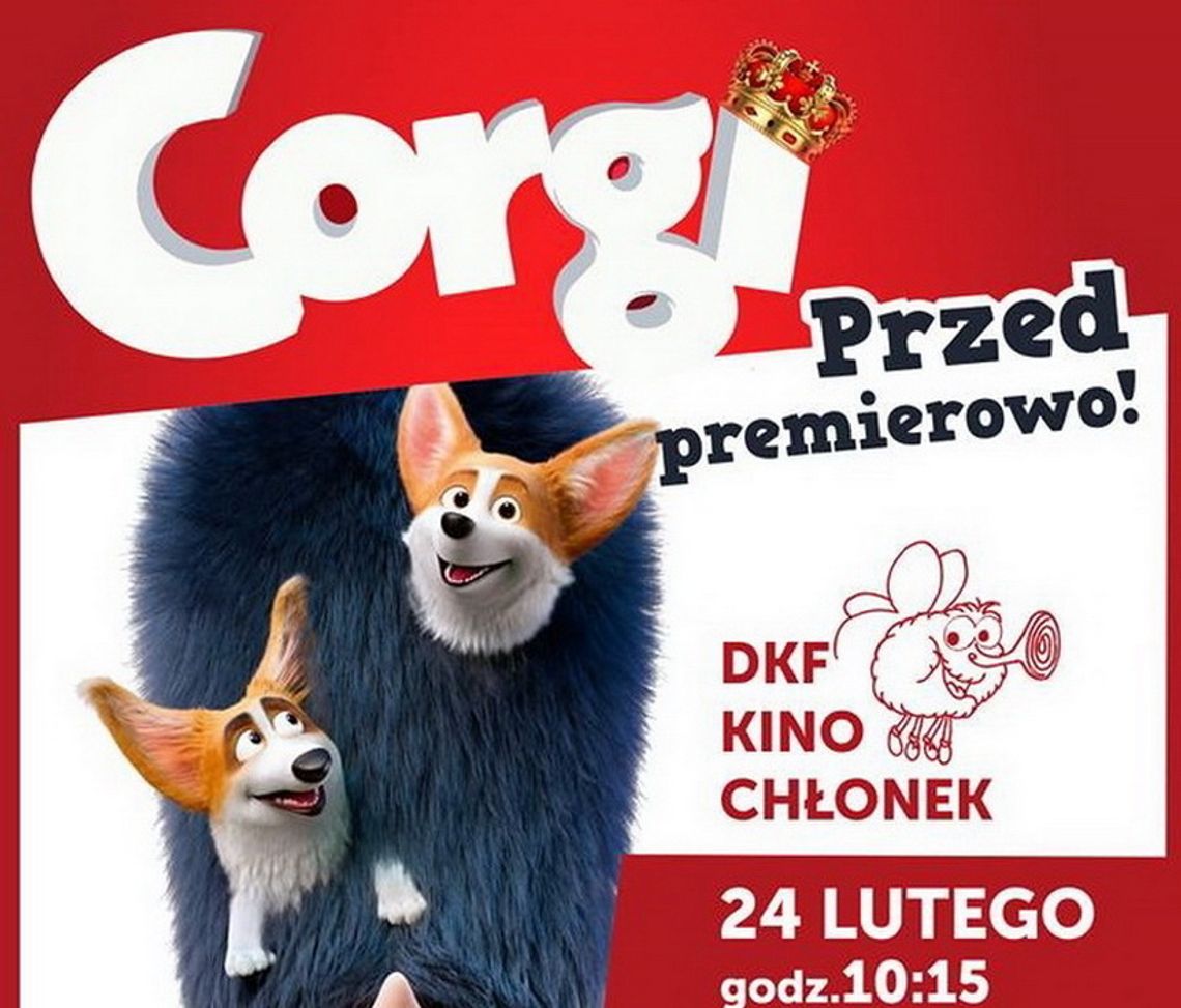Corgi w Kinochłonku 