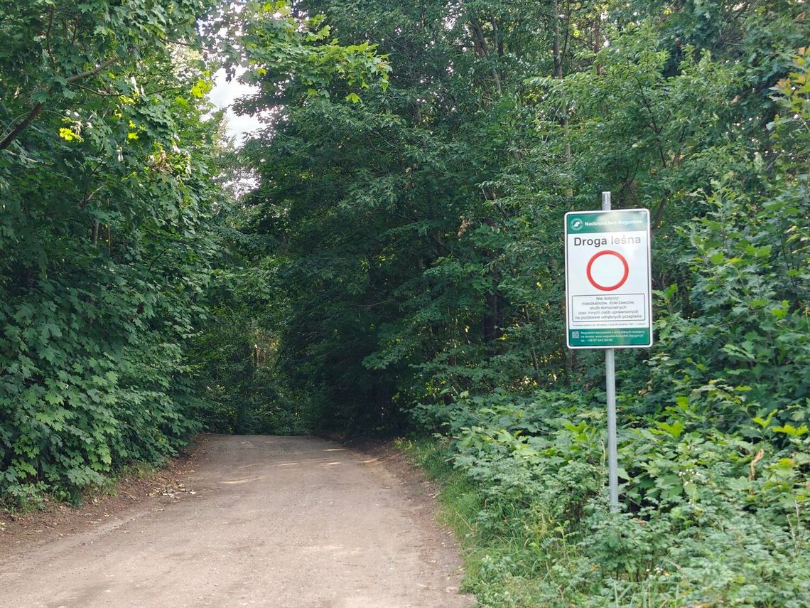 Dojazd nad jezioro Białe utrudniony. Droga do plaży Dąbek zamknięta dla większości kierowców Dojazd nad jezioro Białe utrudniony. Droga do plaży Dąbek zamknięta dla większości kierowców
